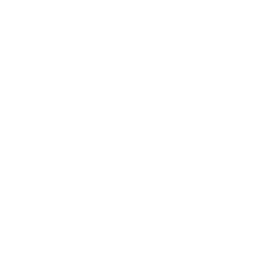 Sandik Logo -white
